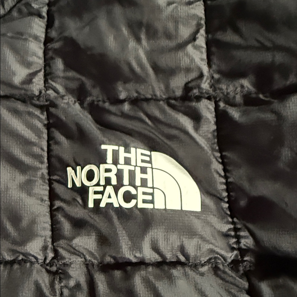The North Face Black ThermoBall Eco Men's Jacket - Logo Tag - Picture 2 of 5